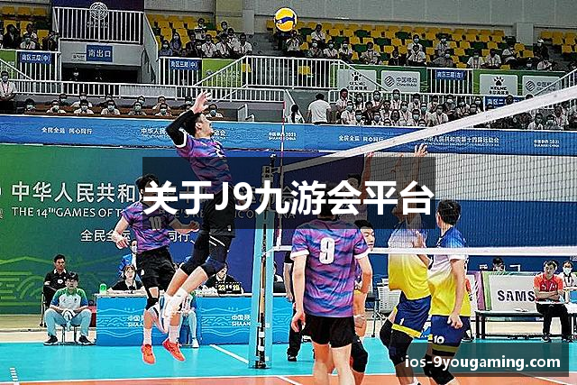 关于J9九游会平台